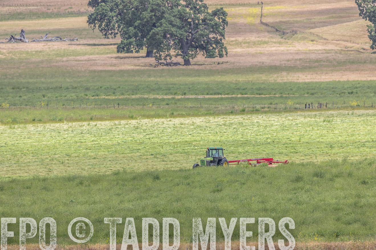 TMyers_SanBenitoRanch_CA_May2023-524287
