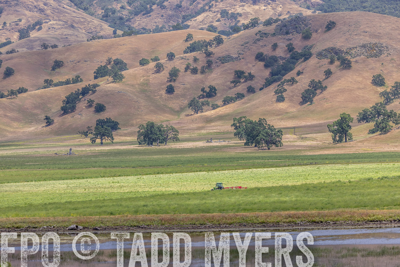 TMyers_SanBenitoRanch_CA_May2023-524320