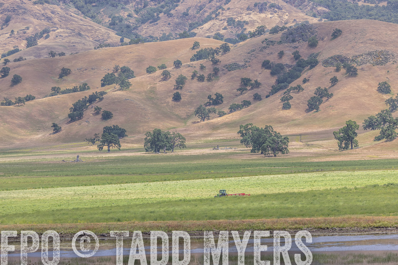 TMyers_SanBenitoRanch_CA_May2023-524329