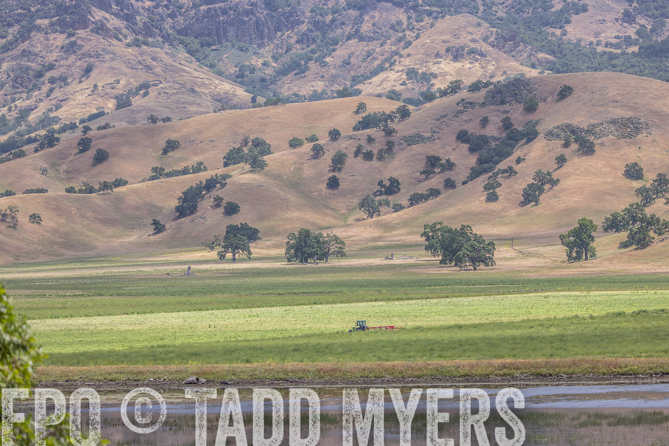 TMyers_SanBenitoRanch_CA_May2023-524346