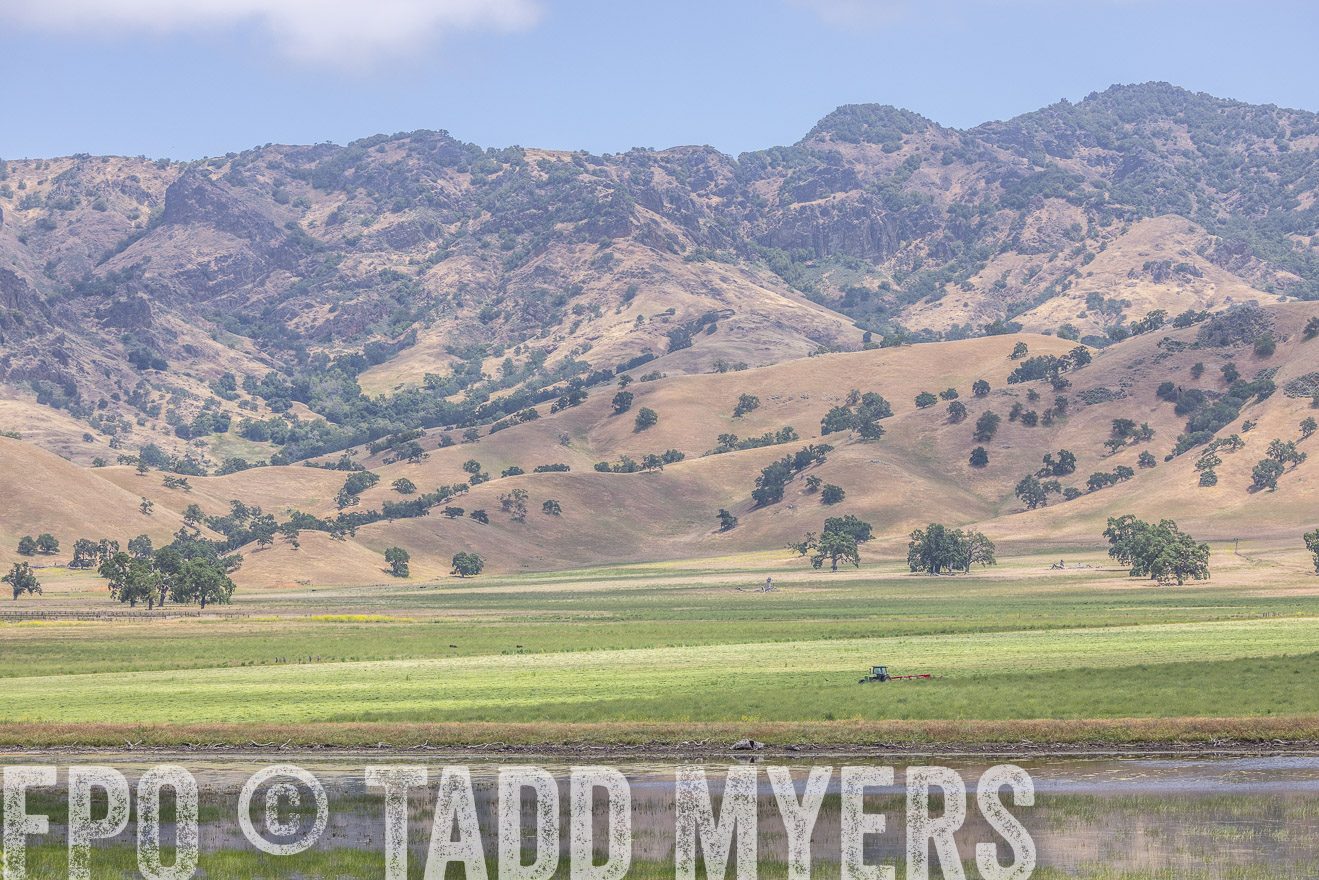 TMyers_SanBenitoRanch_CA_May2023-524394