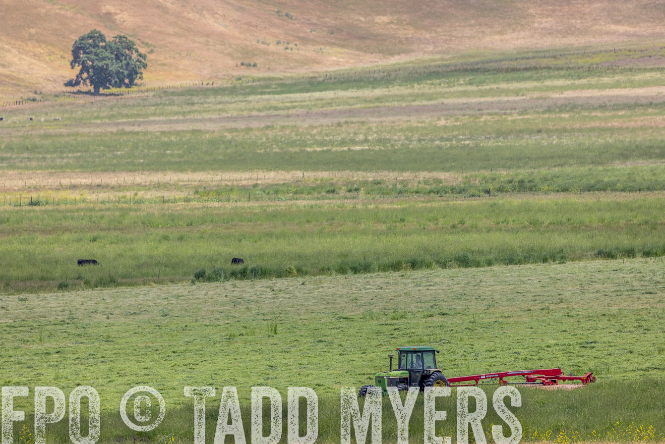 TMyers_SanBenitoRanch_CA_May2023-524449