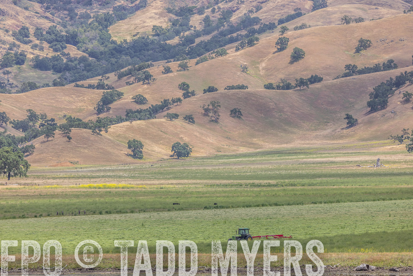 TMyers_SanBenitoRanch_CA_May2023-524457