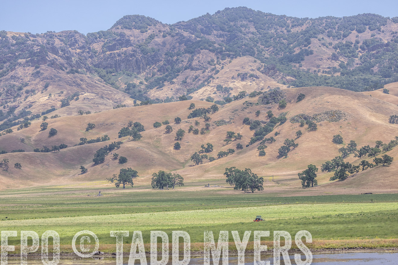TMyers_SanBenitoRanch_CA_May2023-524480