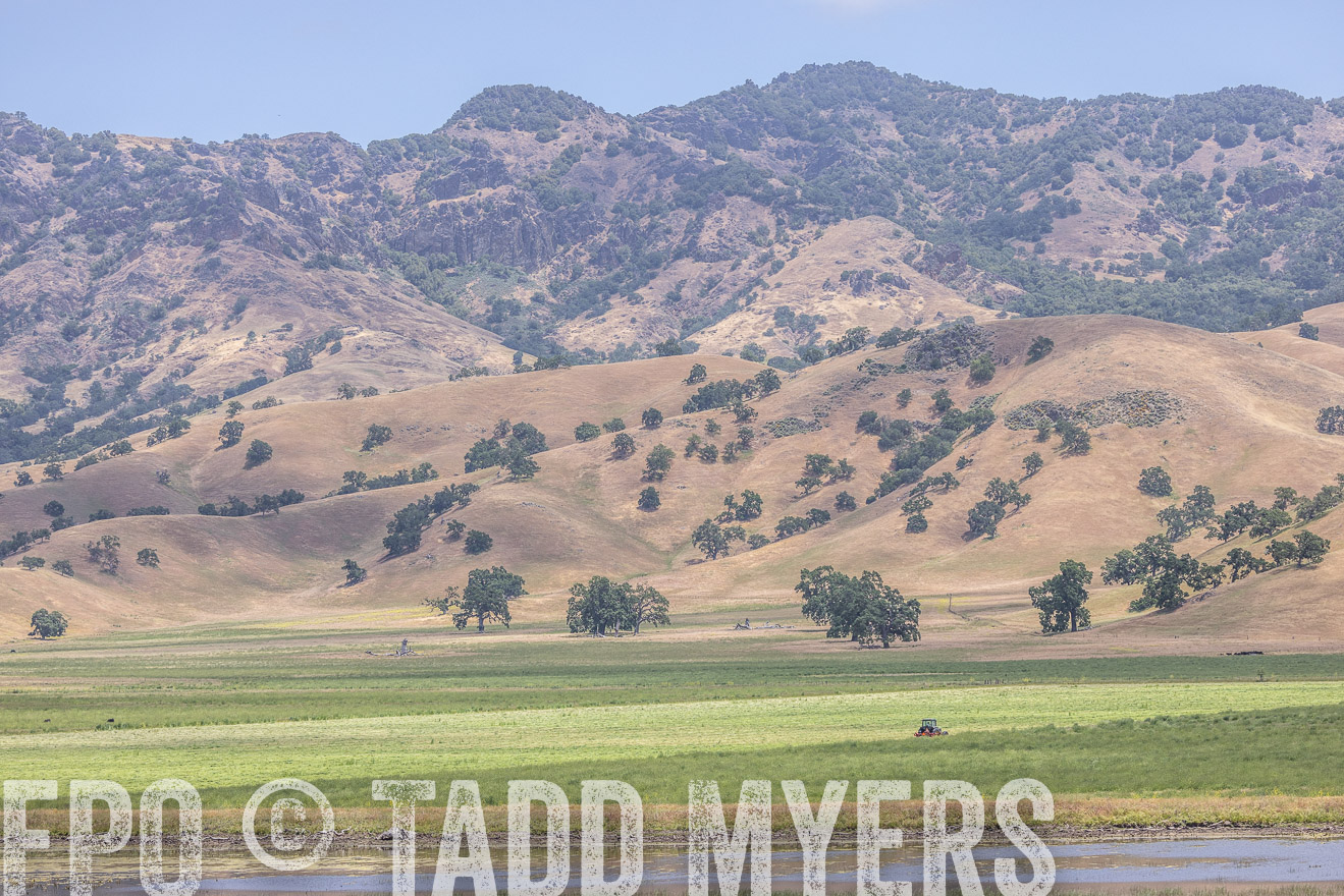 TMyers_SanBenitoRanch_CA_May2023-524489