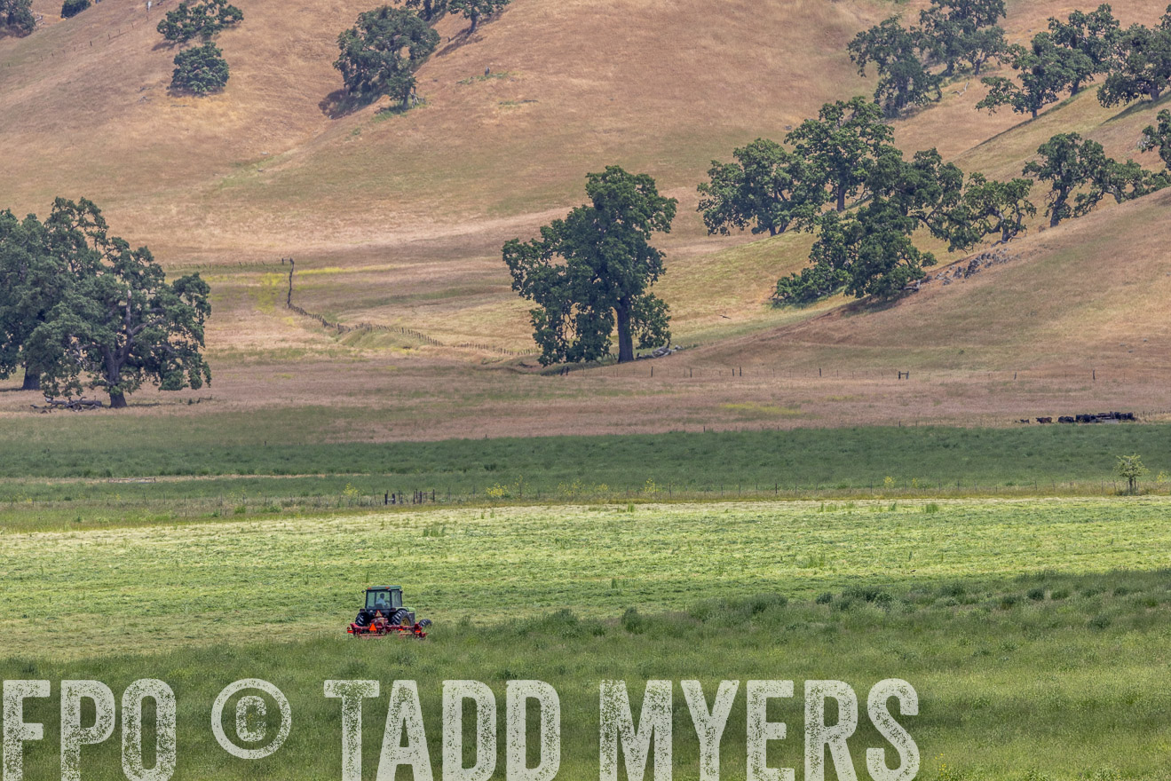TMyers_SanBenitoRanch_CA_May2023-524498