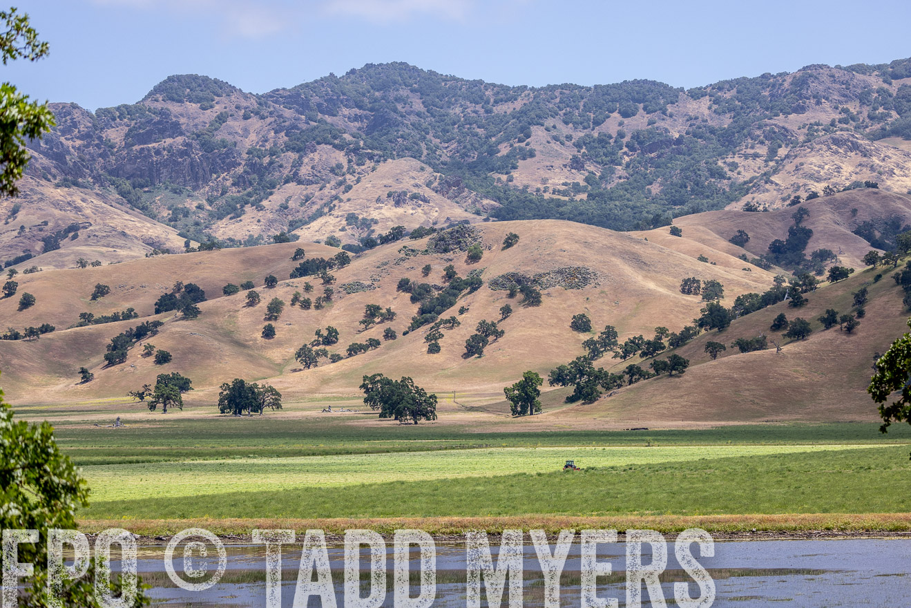 TMyers_SanBenitoRanch_CA_May2023-524554