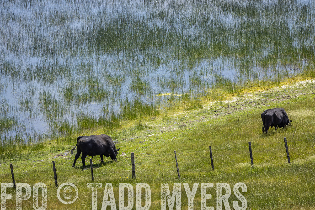 TMyers_SanBenitoRanch_CA_May2023-524688
