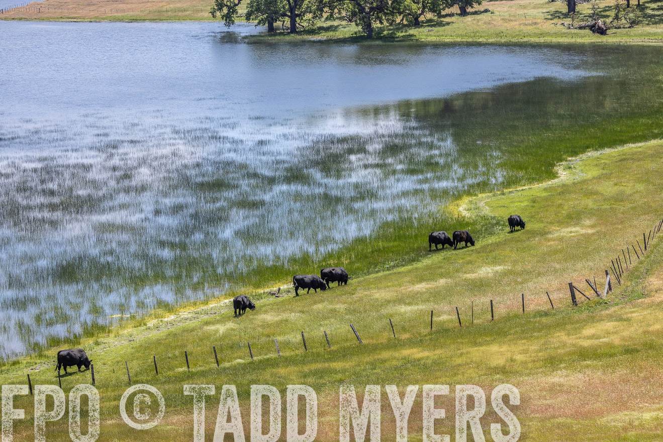 TMyers_SanBenitoRanch_CA_May2023-524704