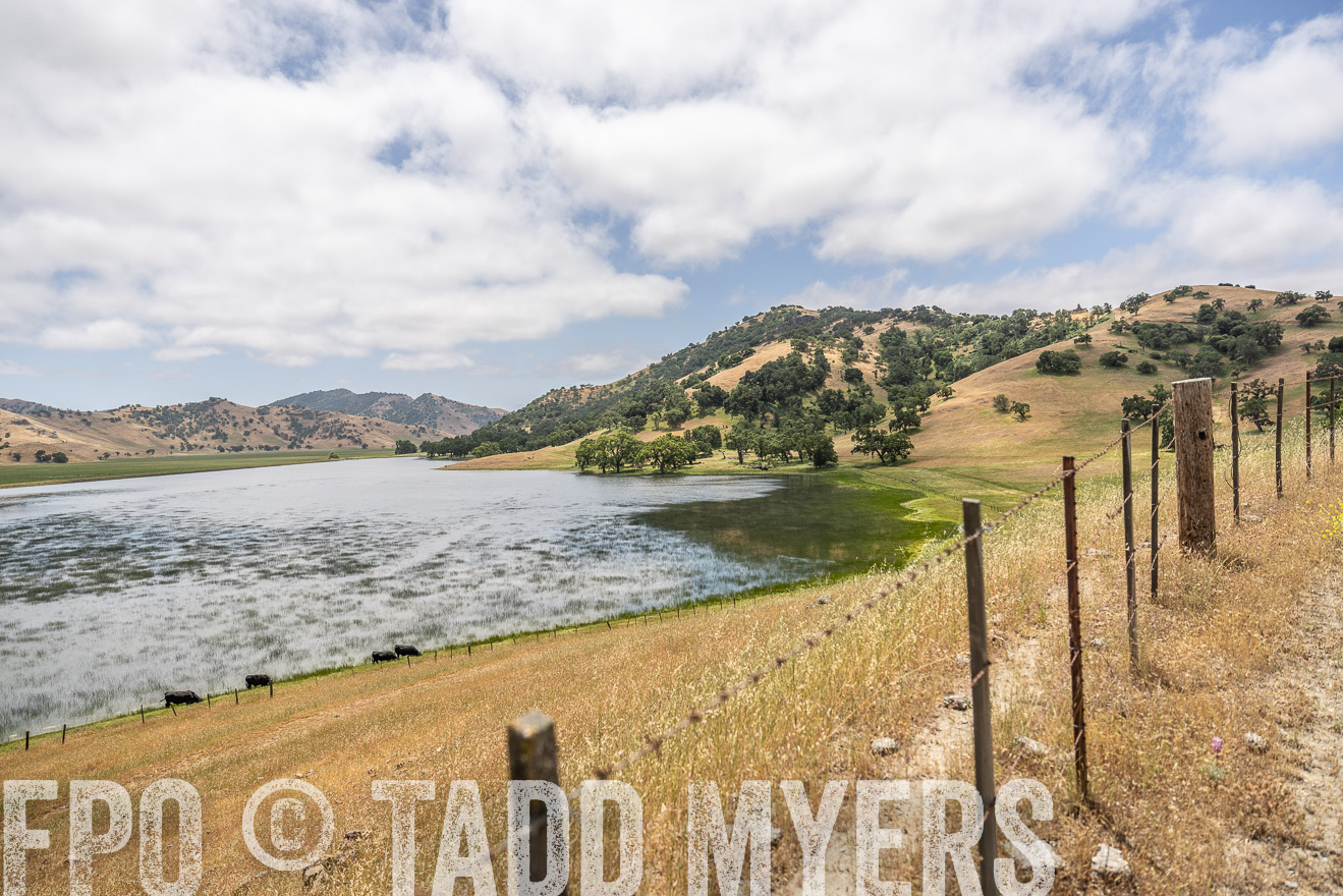 TMyers_SanBenitoRanch_CA_May2023-521422