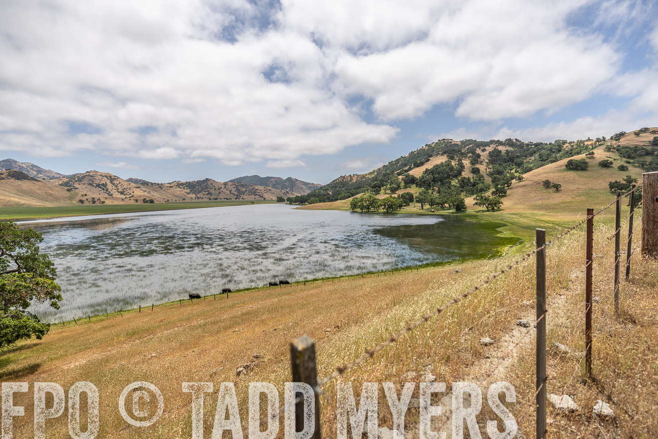 TMyers_SanBenitoRanch_CA_May2023-521436
