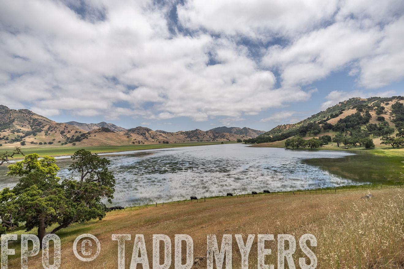 TMyers_SanBenitoRanch_CA_May2023-521467