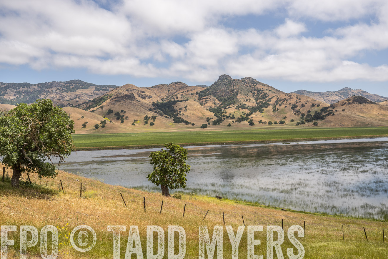 TMyers_SanBenitoRanch_CA_May2023-521490
