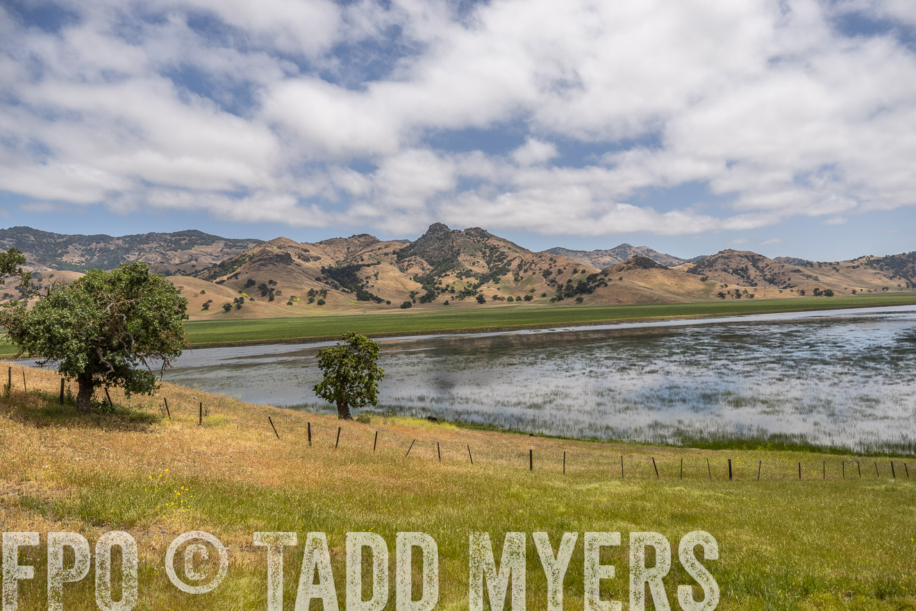 TMyers_SanBenitoRanch_CA_May2023-521495