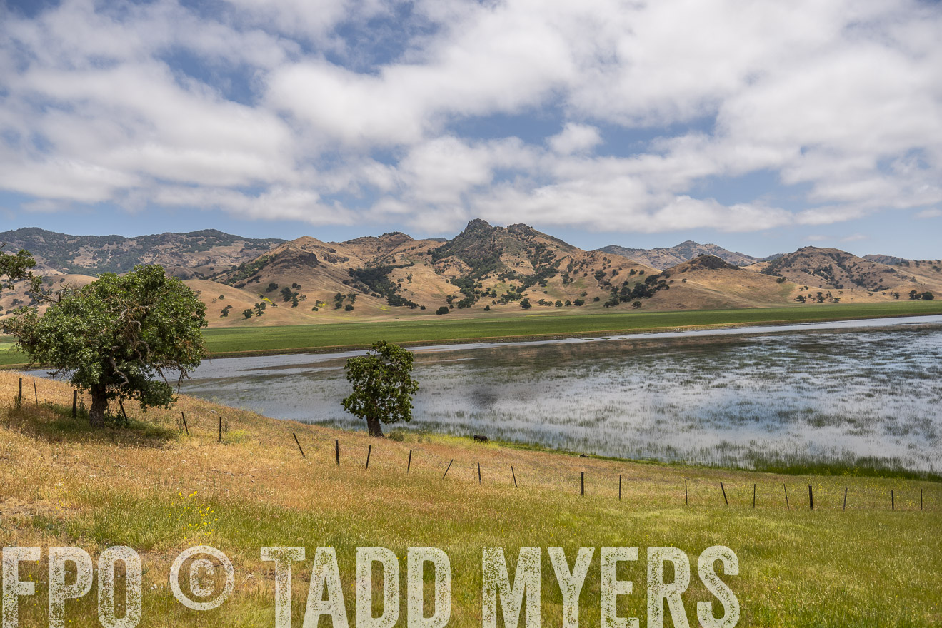 TMyers_SanBenitoRanch_CA_May2023-521502