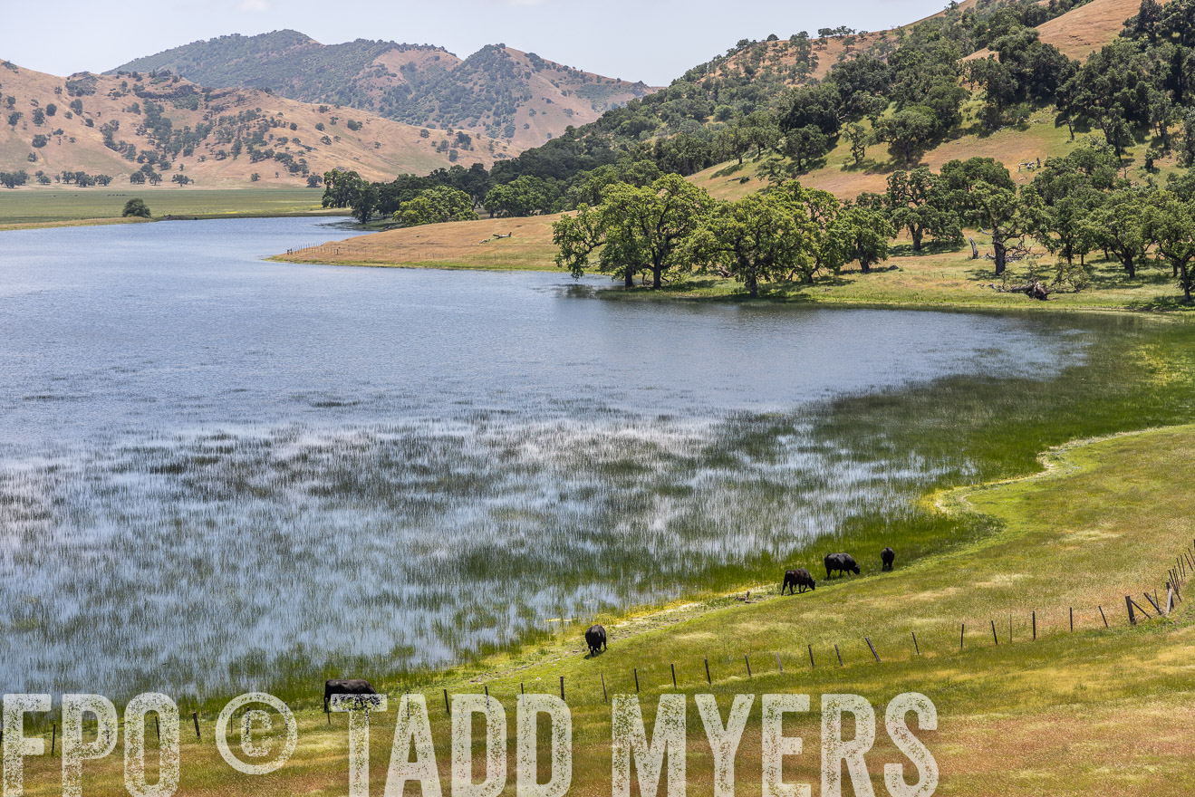 TMyers_SanBenitoRanch_CA_May2023-521537