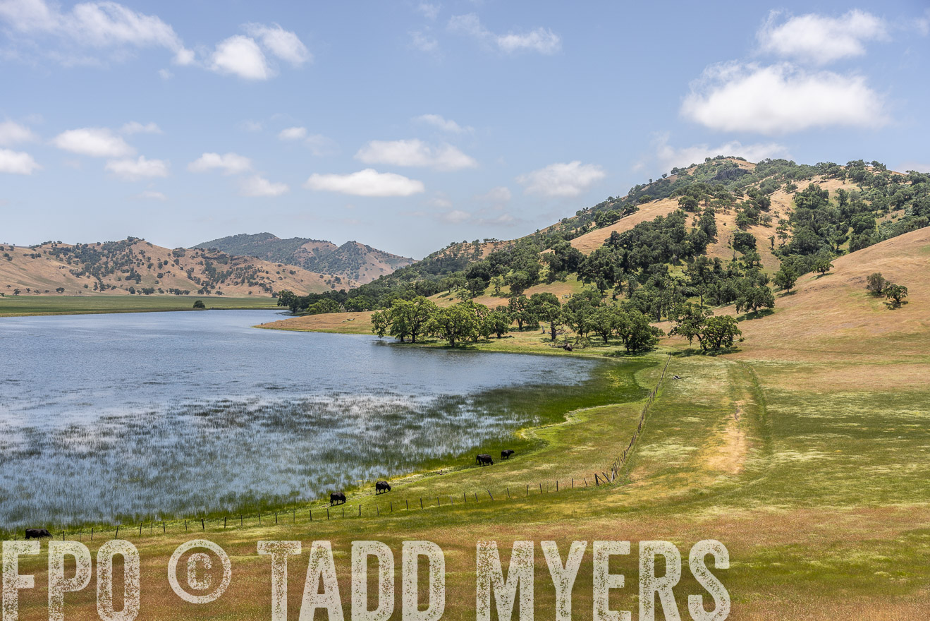 TMyers_SanBenitoRanch_CA_May2023-521556