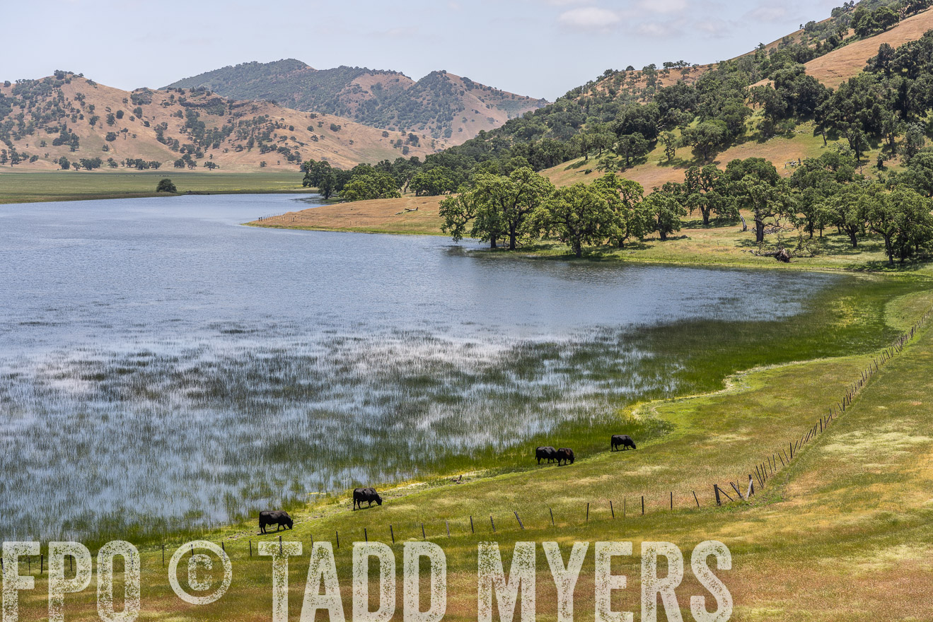 TMyers_SanBenitoRanch_CA_May2023-521569