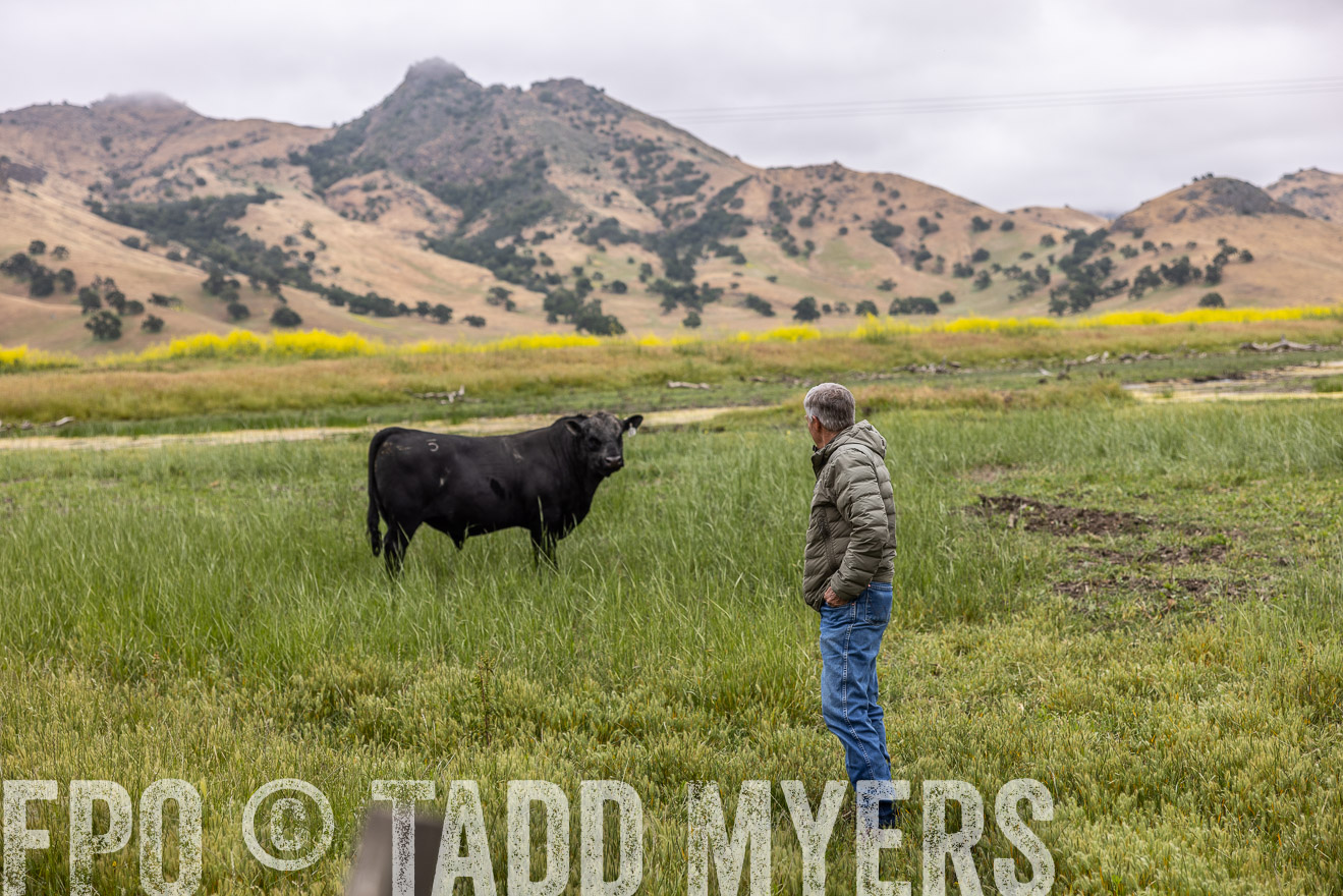 TMyers_SanBenitoRanch_CA_May2023-522764