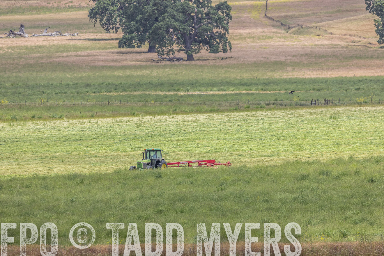 TMyers_SanBenitoRanch_CA_May2023-524296