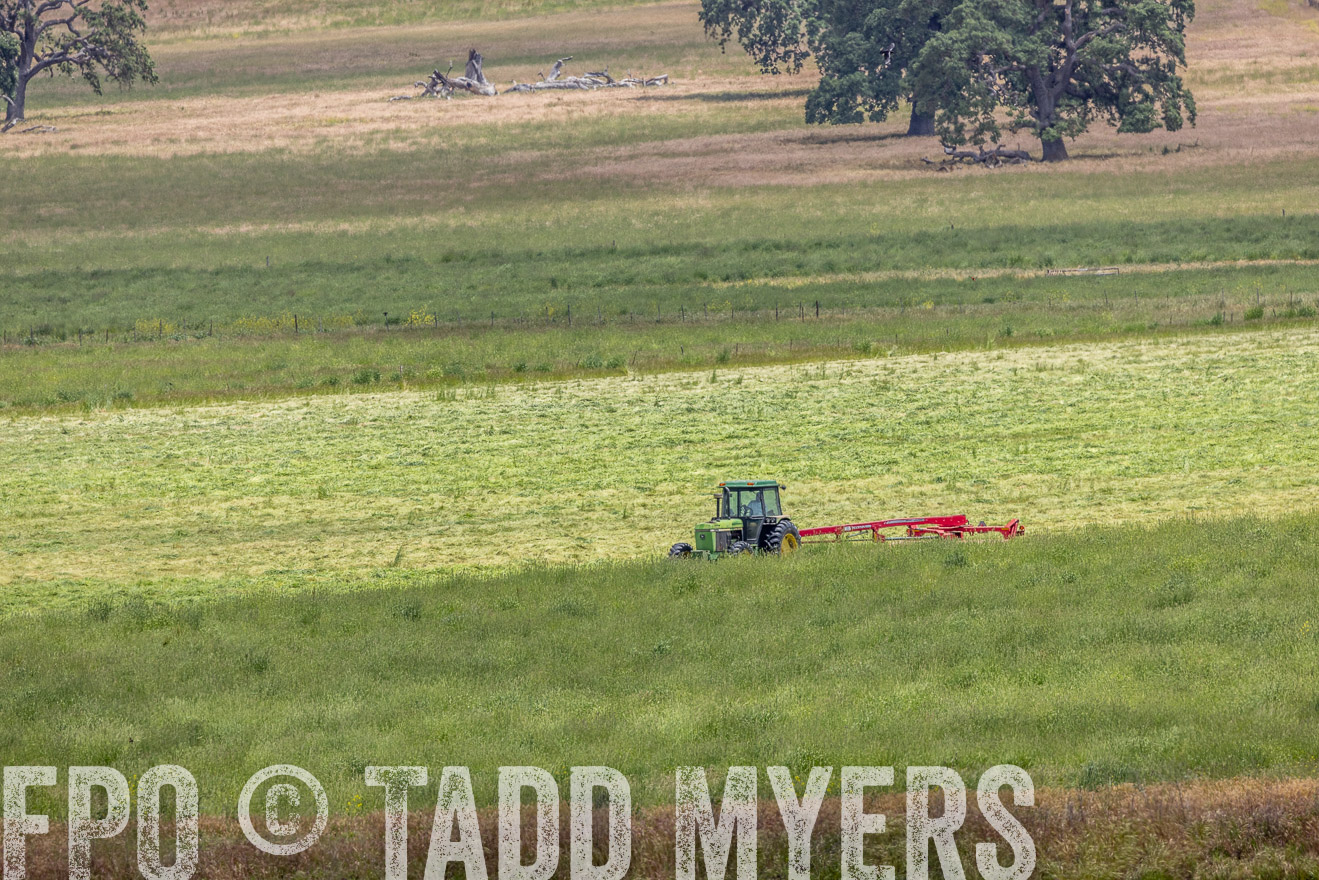 TMyers_SanBenitoRanch_CA_May2023-524317