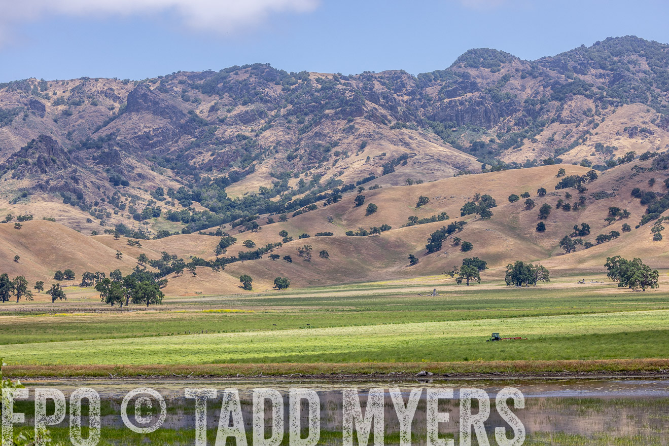 TMyers_SanBenitoRanch_CA_May2023-524382
