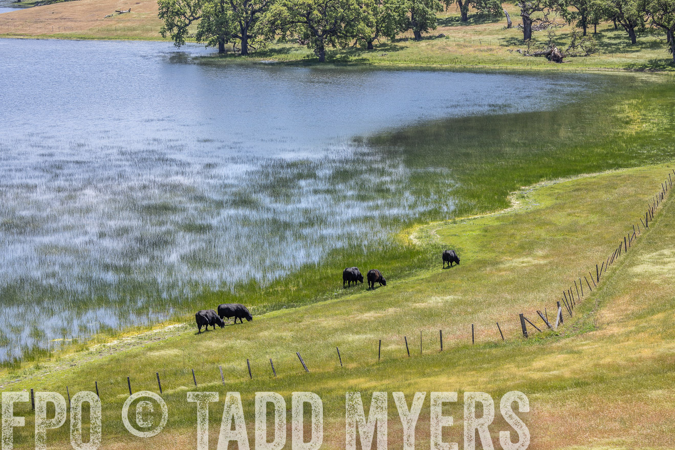 TMyers_SanBenitoRanch_CA_May2023-524614