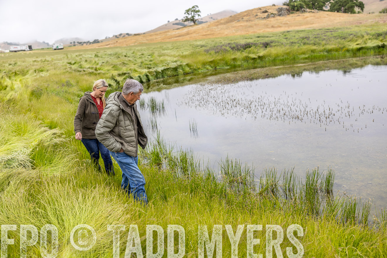 TMyers_SanBenitoRanch_CA_May2023-525378