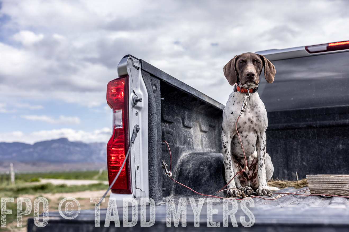 TMyers_PP_Perigo_Nevada_June2023-512292