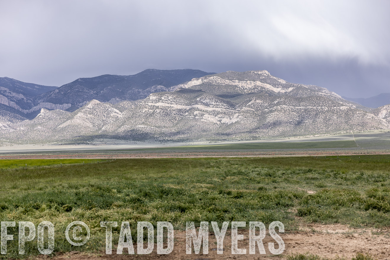 TMyers_PP_Perigo_Nevada_June2023-512317