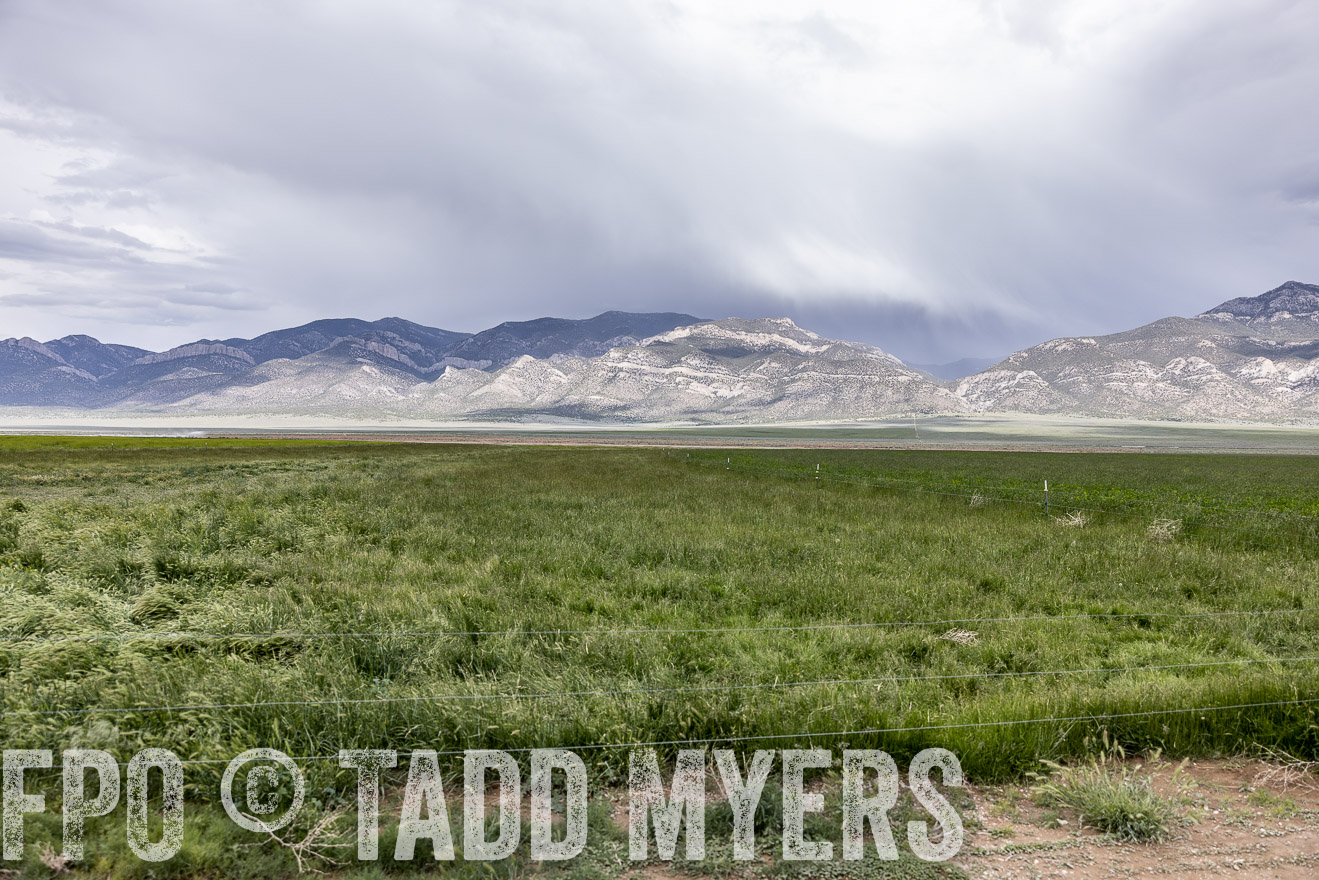 TMyers_PP_Perigo_Nevada_June2023-512324