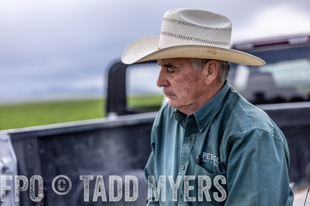 TMyers_PP_Perigo_Nevada_June2023-512783