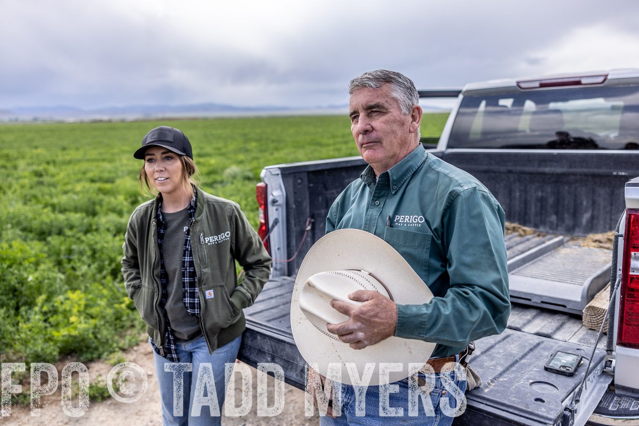 TMyers_PP_Perigo_Nevada_June2023-512797