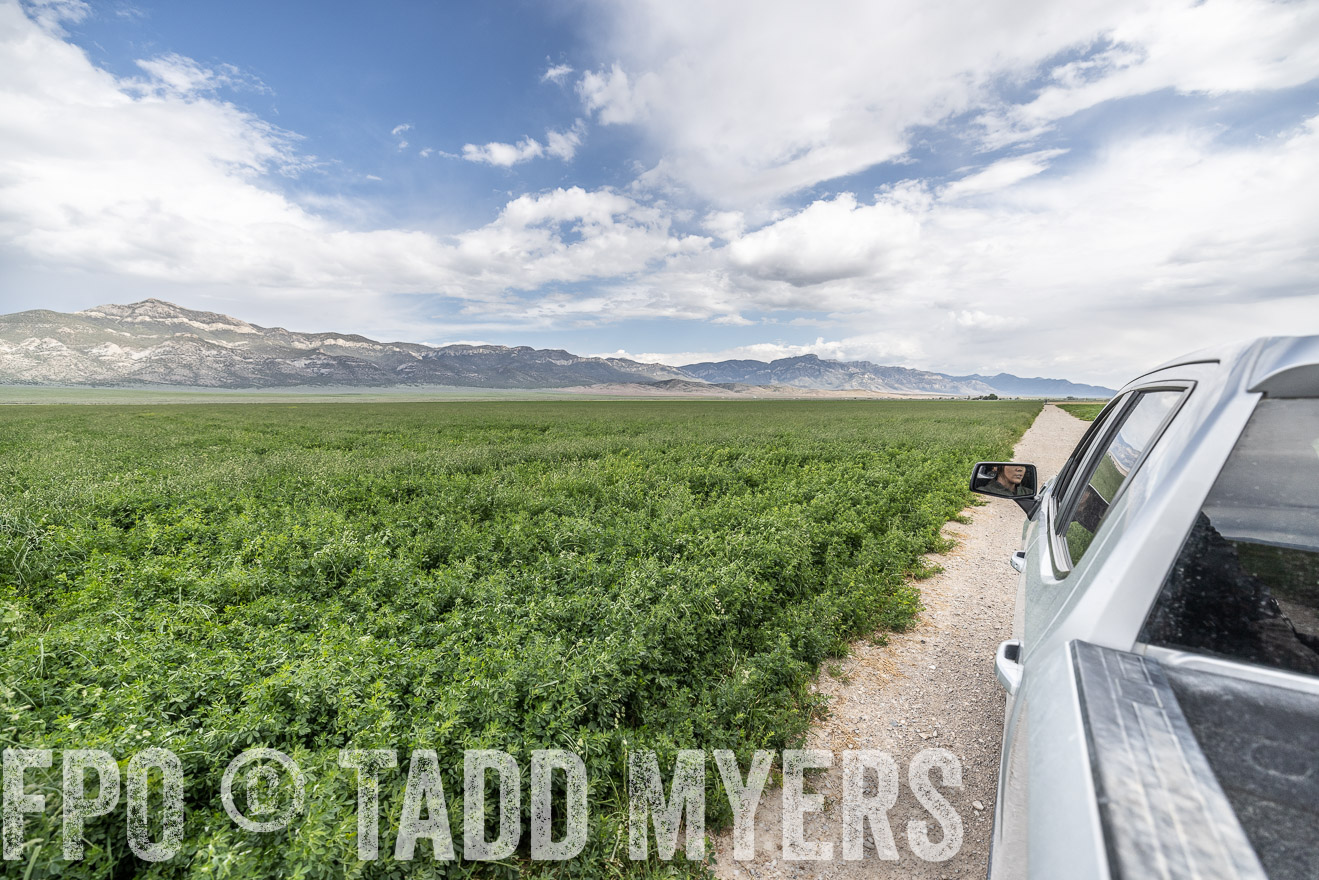TMyers_PP_Perigo_Nevada_June2023-521780