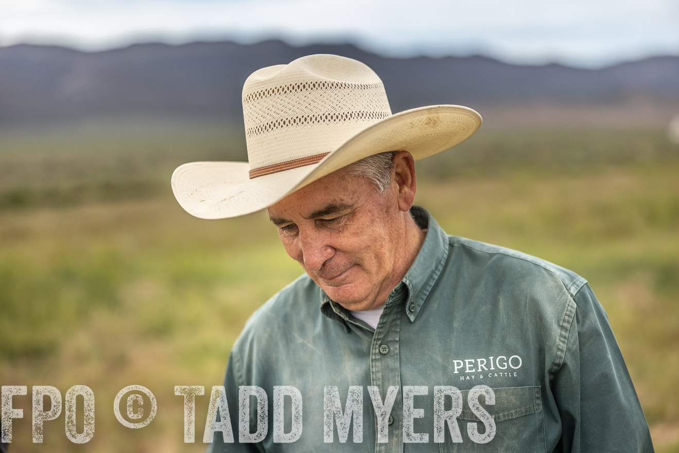 TMyers_PP_Perigo_Nevada_June2023-515277