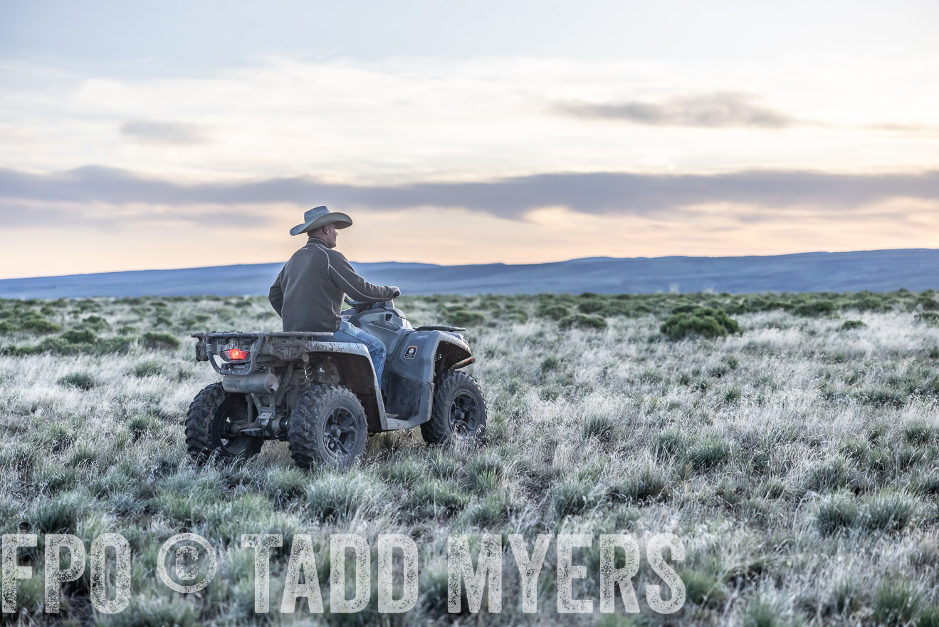 TMyers_PP_Wilkinson_June2023-510844