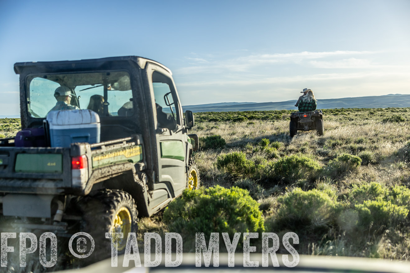 TMyers_PP_Wilkinson_June2023-510917