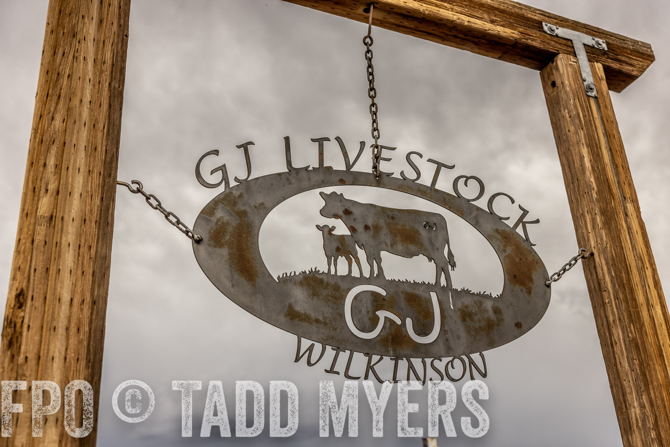 TMyers_PP_Wilkinson_June2023-512015