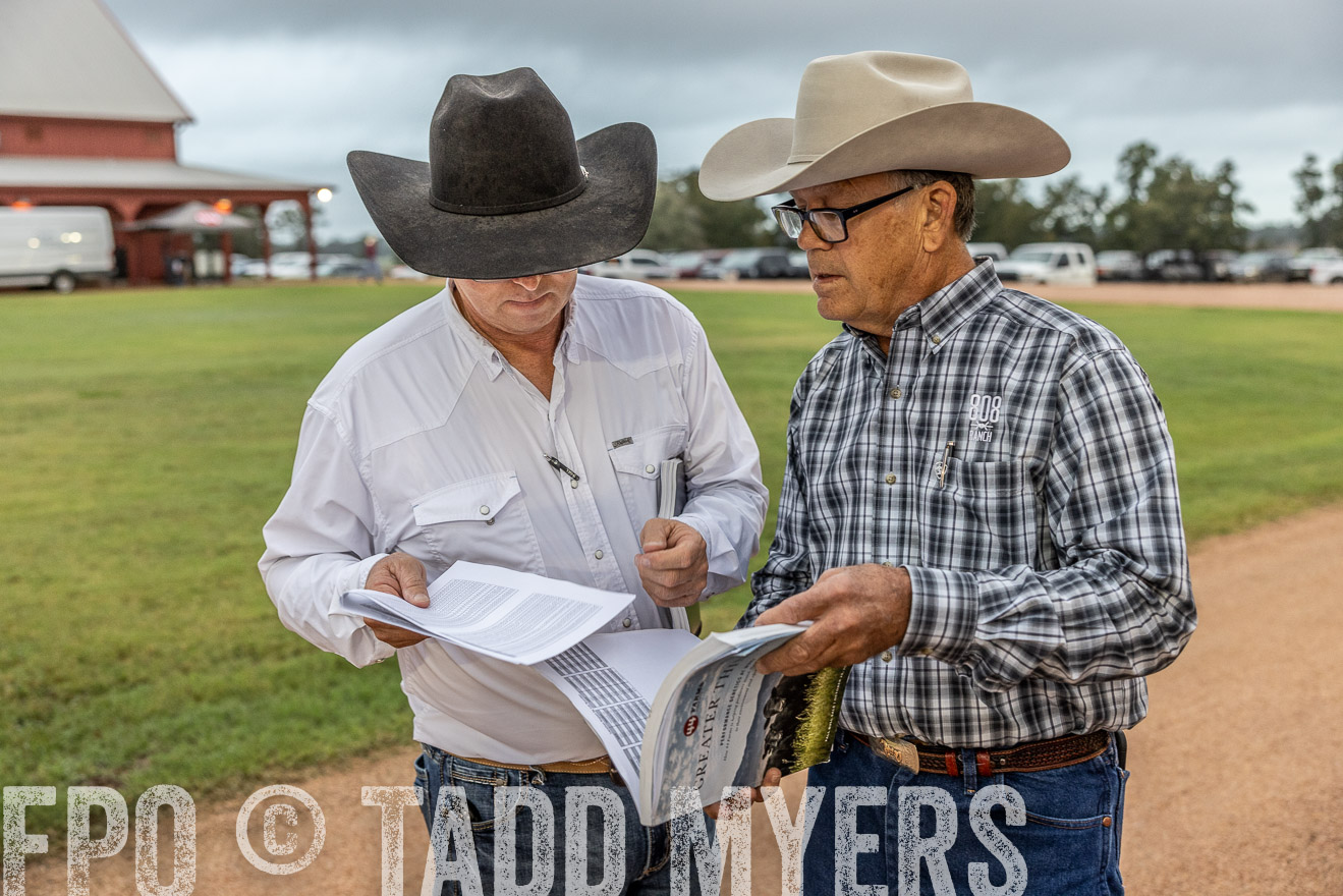 TMyers_FallBullSale_Cameron_Oct2023-514706