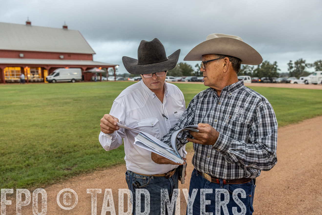 TMyers_FallBullSale_Cameron_Oct2023-514714