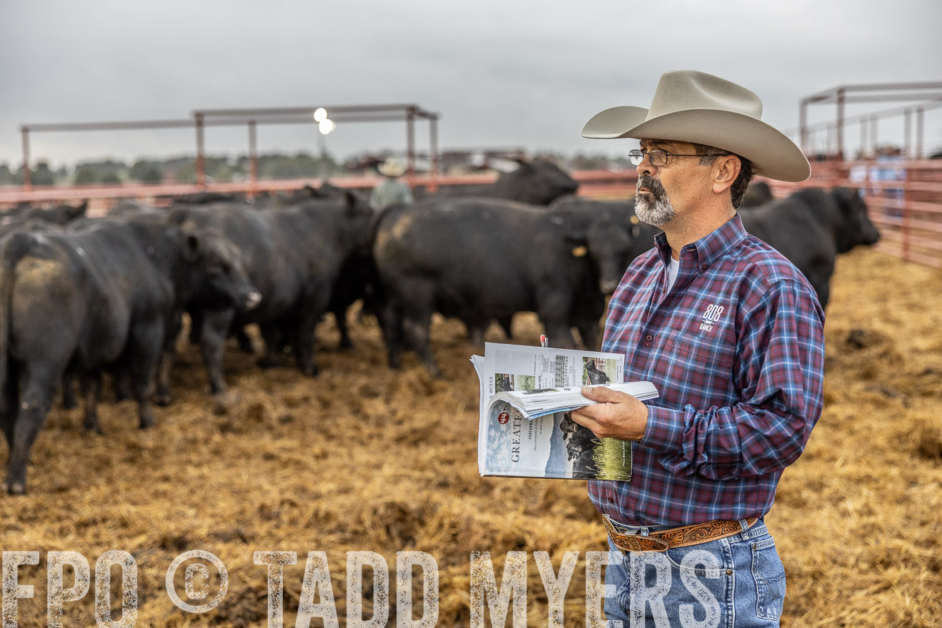 TMyers_FallBullSale_Cameron_Oct2023-514762