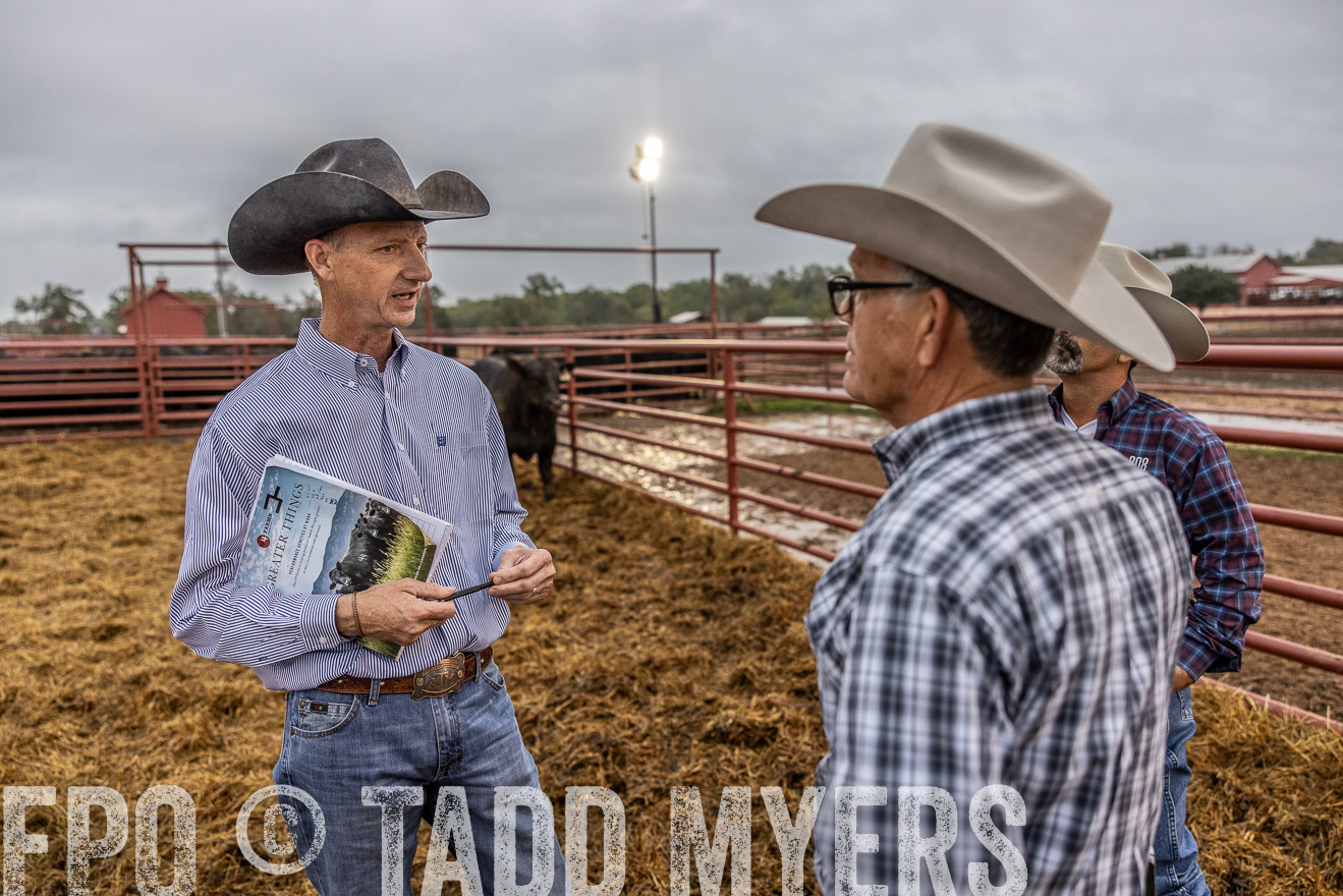 TMyers_FallBullSale_Cameron_Oct2023-514809