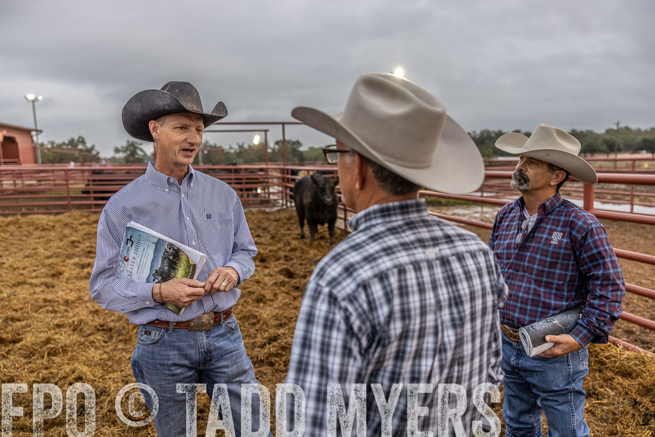 TMyers_FallBullSale_Cameron_Oct2023-514813