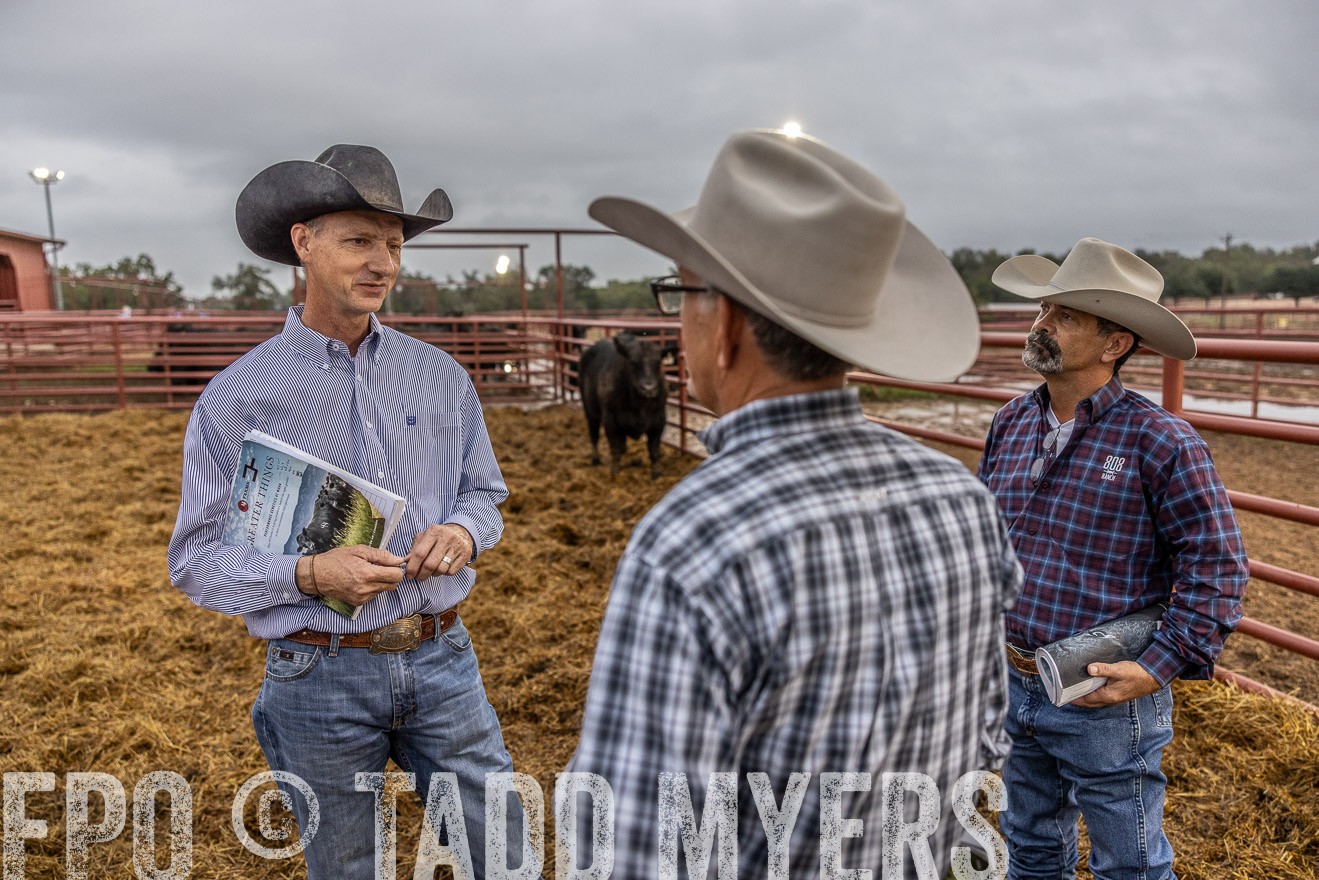 TMyers_FallBullSale_Cameron_Oct2023-514814