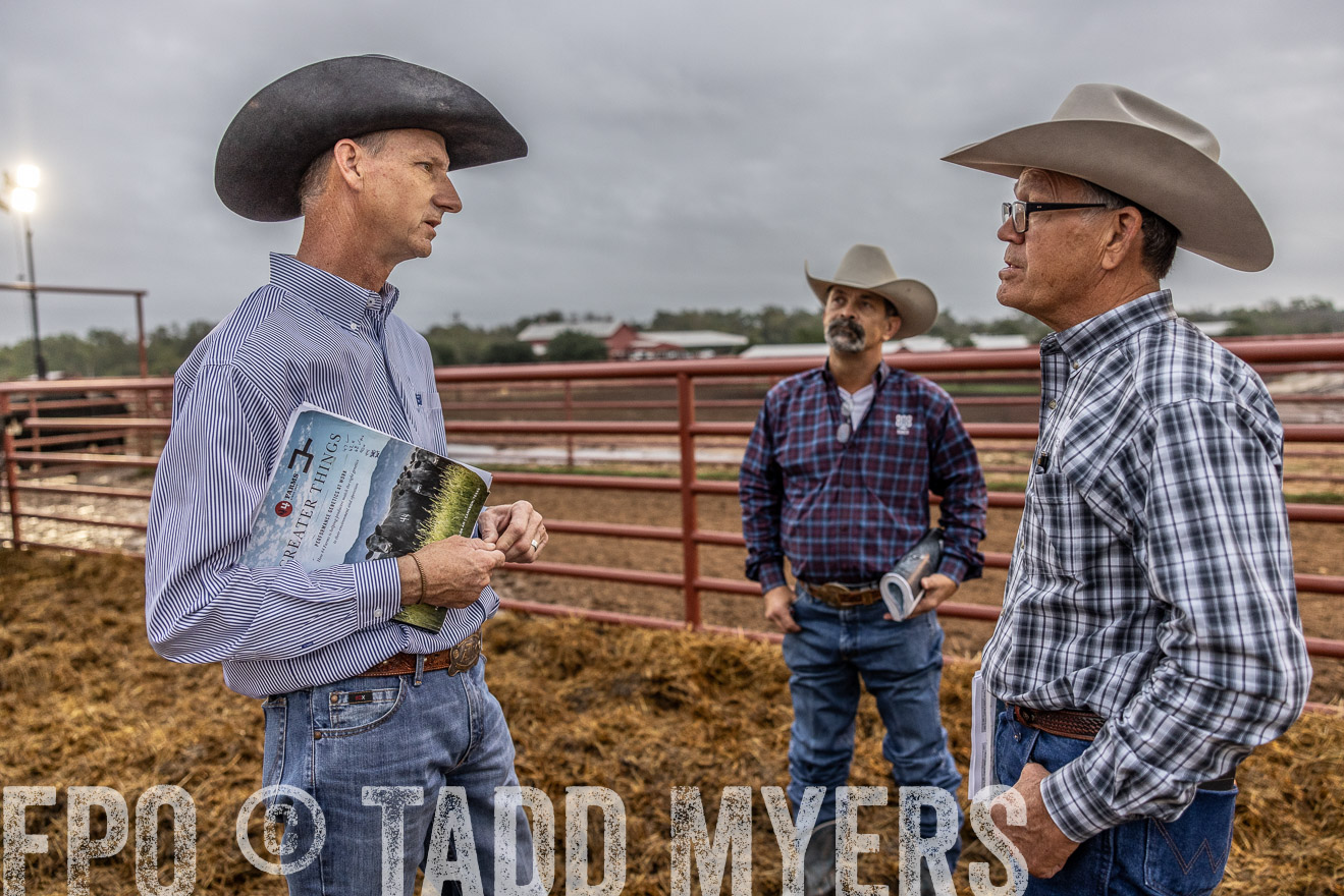 TMyers_FallBullSale_Cameron_Oct2023-514817
