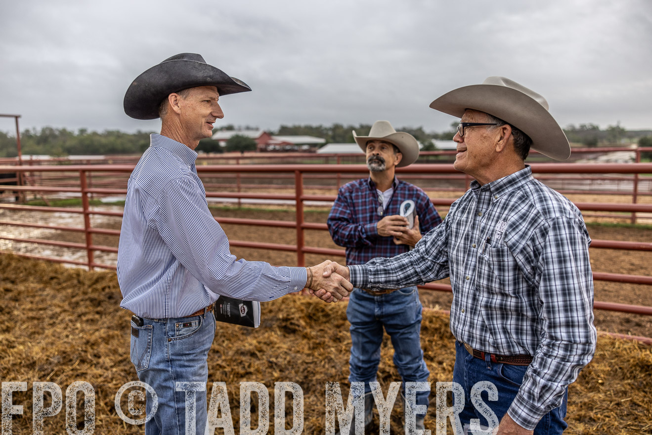 TMyers_FallBullSale_Cameron_Oct2023-514834