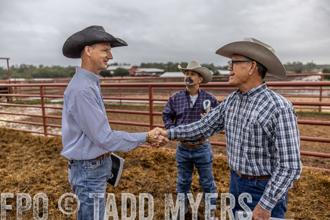 TMyers_FallBullSale_Cameron_Oct2023-514835