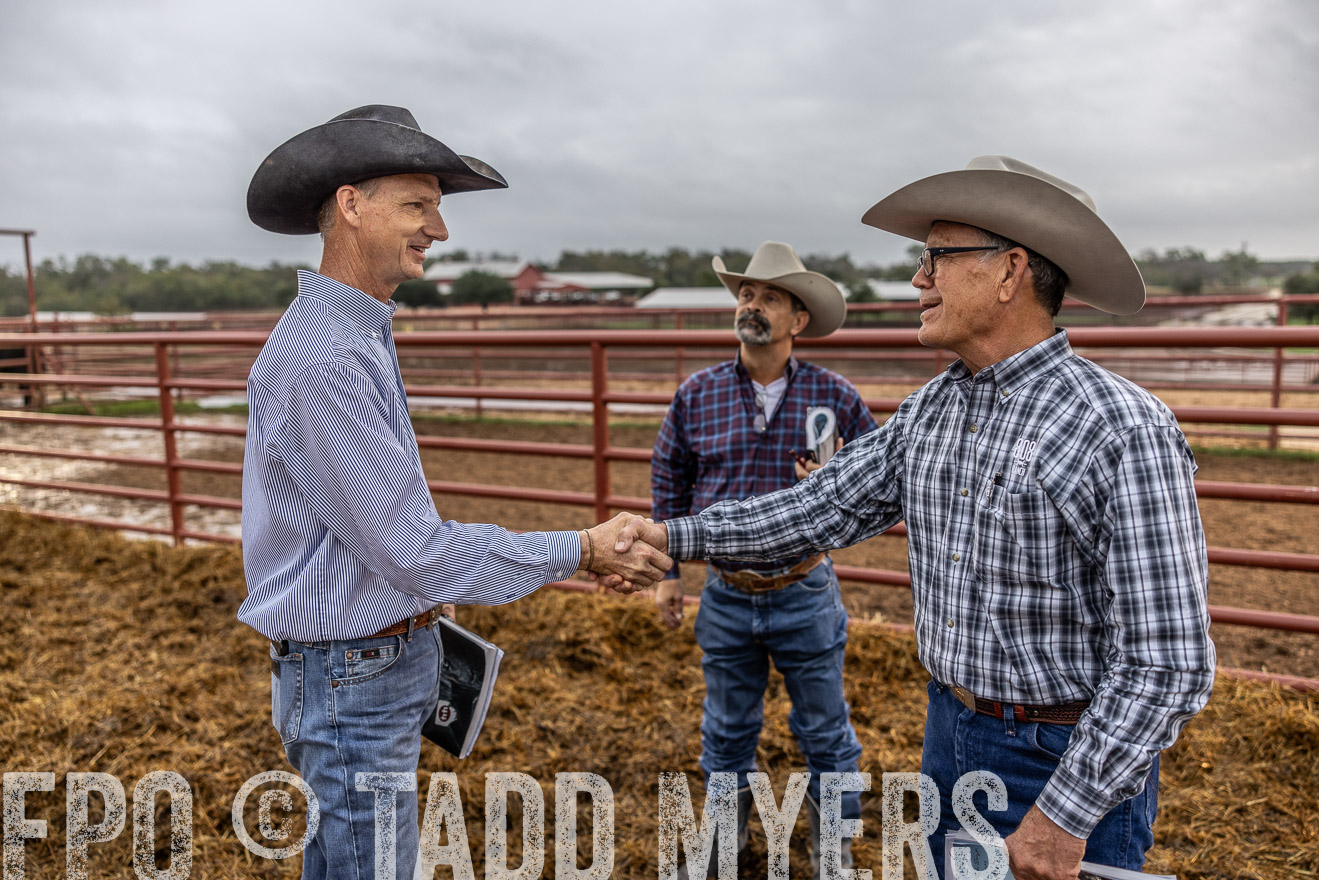 TMyers_FallBullSale_Cameron_Oct2023-514836