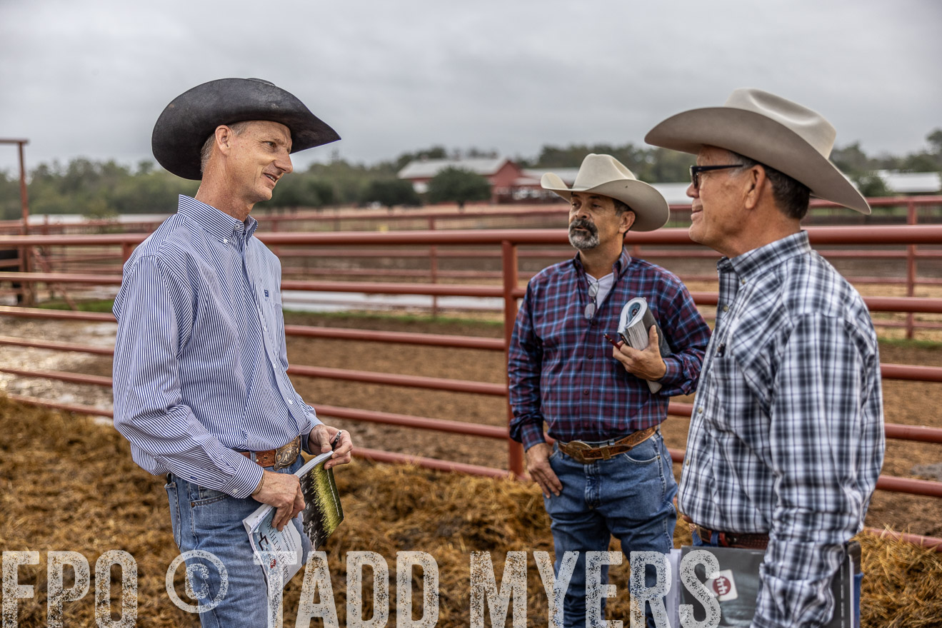 TMyers_FallBullSale_Cameron_Oct2023-514841