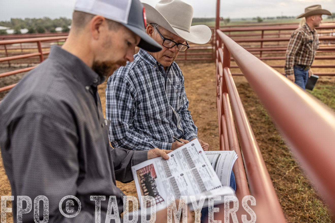 TMyers_FallBullSale_Cameron_Oct2023-514856